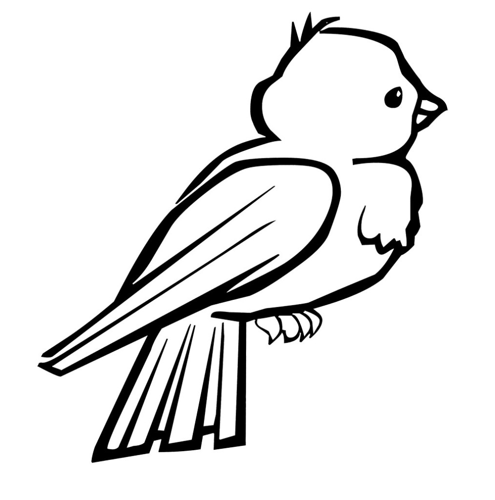 bird coloring pages by elijah – Free Printables